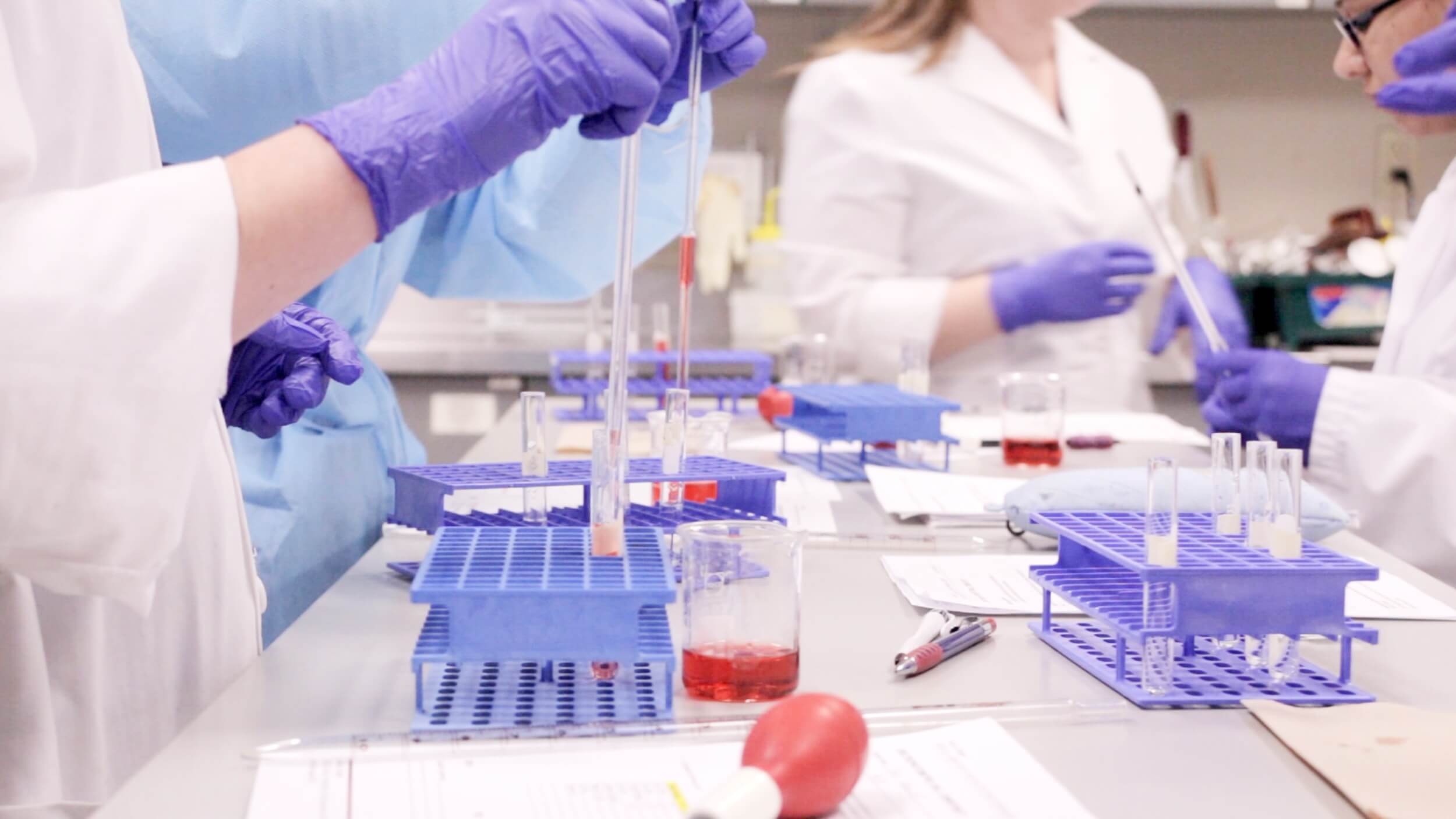 A medical lab assistant/technician program student preparing blood samples in a lab